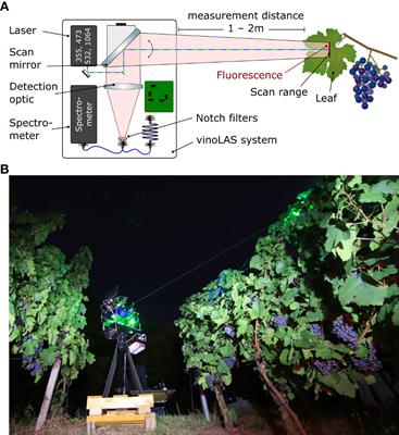 Remote detection of fungal pathogens in viticulture using laser-induced fluorescence: an experimental study on infected potted vines